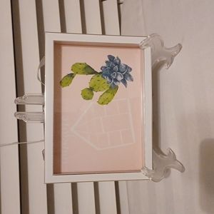 Wall decor, succulent and cactus plant.